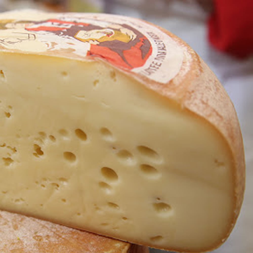 Toma di Gressoney Forma 2,5-3 kg