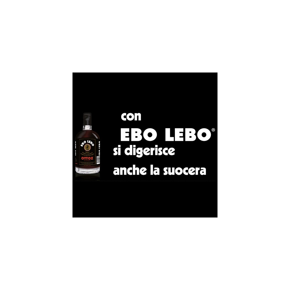 EBO LEBO GRAN RISERVA - mini 20 cl