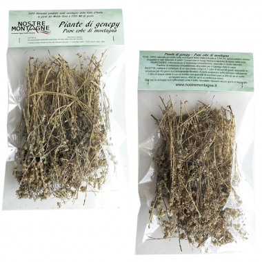 Plants de génépi Val D'Ayas 2 sachets de 10gr