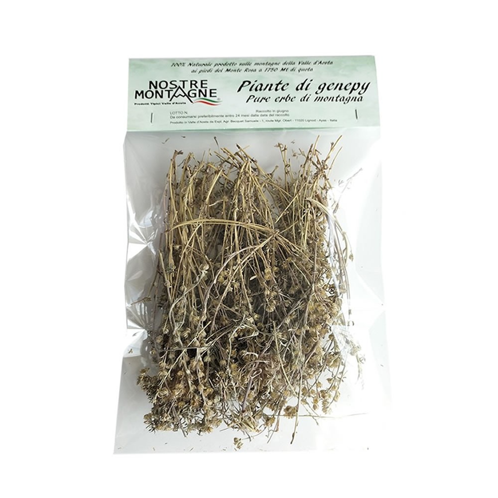 Piantine di genepy Val D'Ayas  10g
