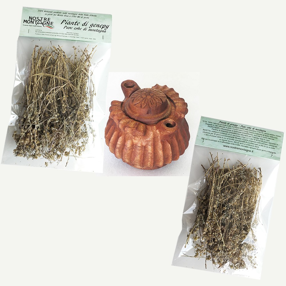 Piantine di genepy (2 per 10g) + coppa dell'amicizia