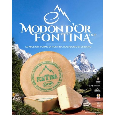 Fontina d’ALPEGGIO DOP – MODON D’OR 400gr disponibilità limitata