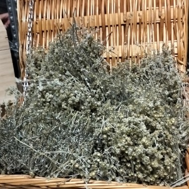 Plants de génépi Val D'Ayas 2 sachets de 10gr