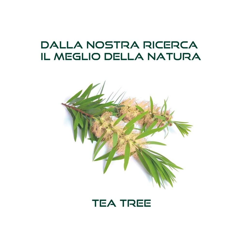 TEA TREE Shampoo Anticaduta 300ml