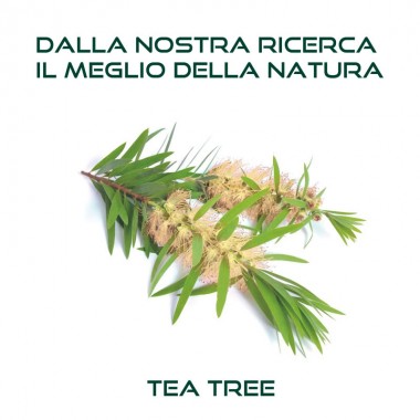 TEA TREE Shampoo Anticaduta 1 lt