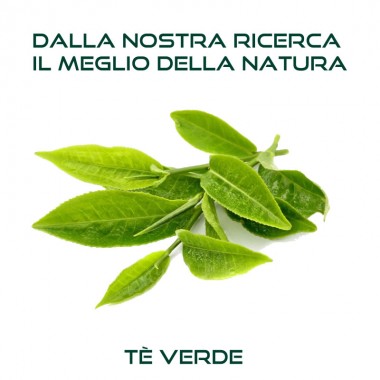 Shampoo Organic 100ml