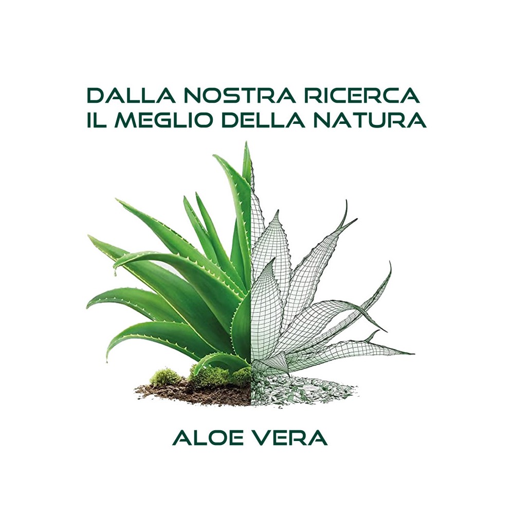 Lacca Spray Aloe Vera e Te Verde 100ml