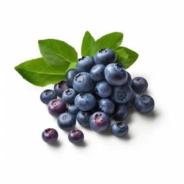 BLUEBERRY VINEGAR 250ml