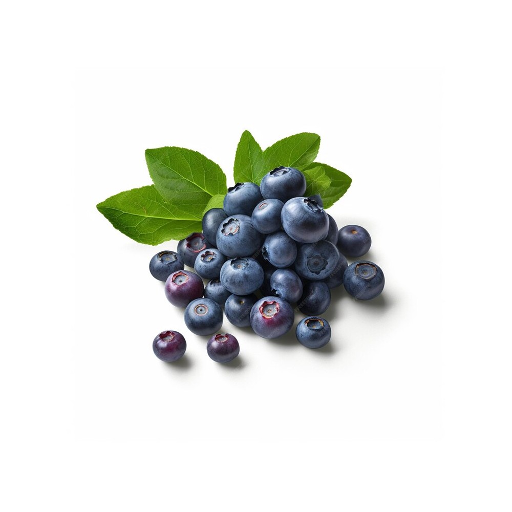 ACETO DI MIRTILLI 250ml