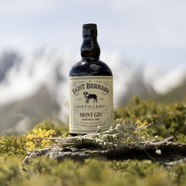 MONT GIN Premium Dry – Artisanal Distillate of Excellenceccellenza