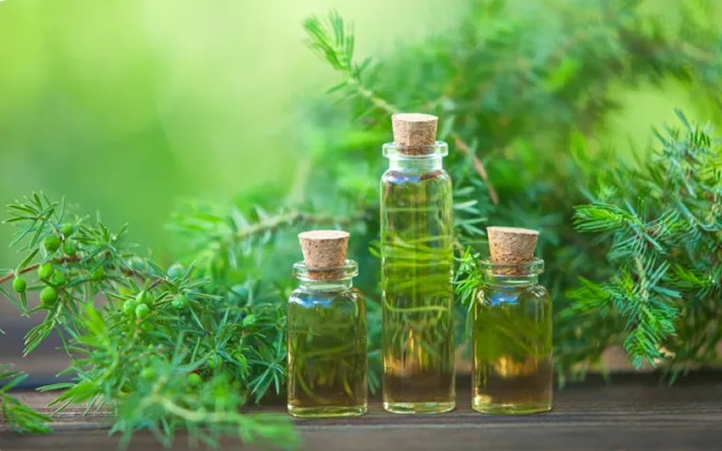 New category Wellness and BIO MILK WAY products with Tea Tree oil