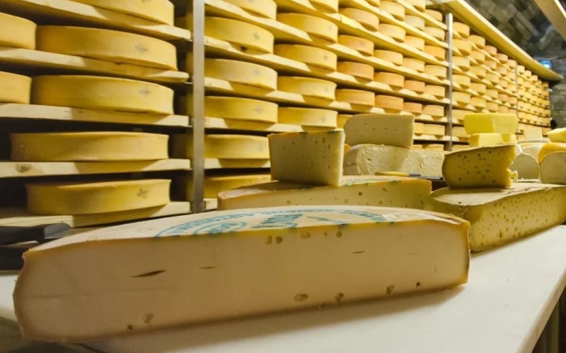 Protective Modified Atmosphere (MAP): the technology that keeps Fontina DOP Valle d'Aosta always fresh